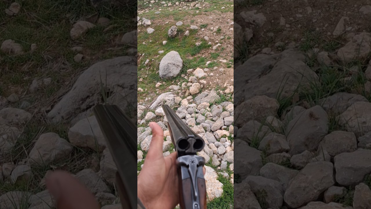 Elegant and ergonomic Russian double-barreled shotgun