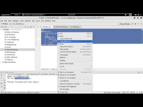 Python Dili Program Mantığı ve main metodu