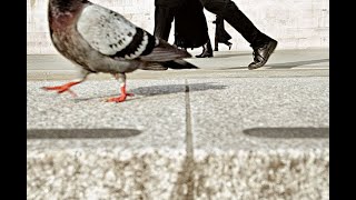 #LeicaConversations - Street Photography and Beyond with Matt Stuart