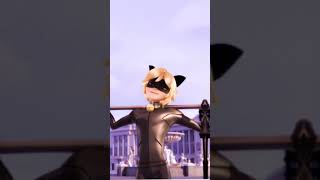 Cat noir wallpaper ideas✨😎
