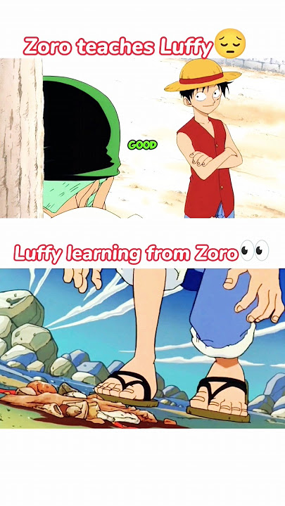 Luffy and Zoro respect moments #onepiece #luffy #zoro