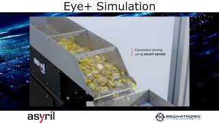 Asyril Eye+ Simulator Software screenshot 2