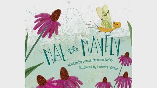 Story: Mae the Mayfly