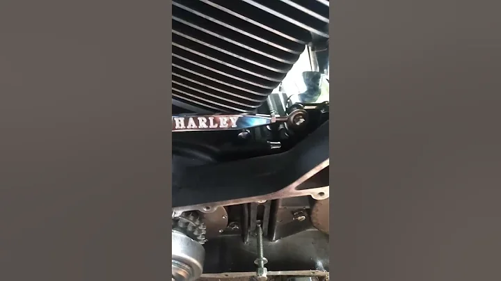 what's that sound .