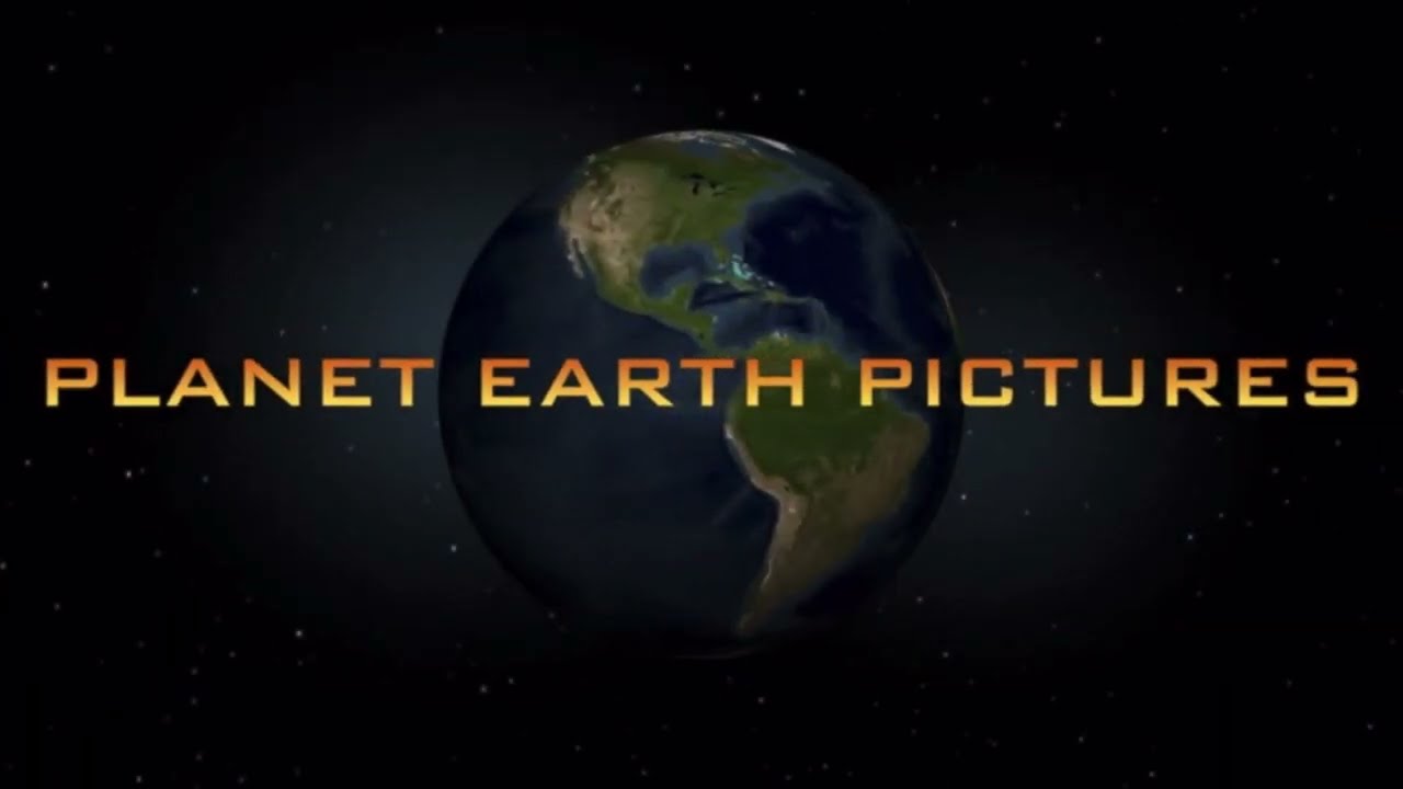 Clyde Full Movie Teaser (Back in 2021) [Toonami]