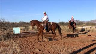 From the Archives: How We Teach Our Horses Lateral Work With Pat's Signature Exercise "The Logs"