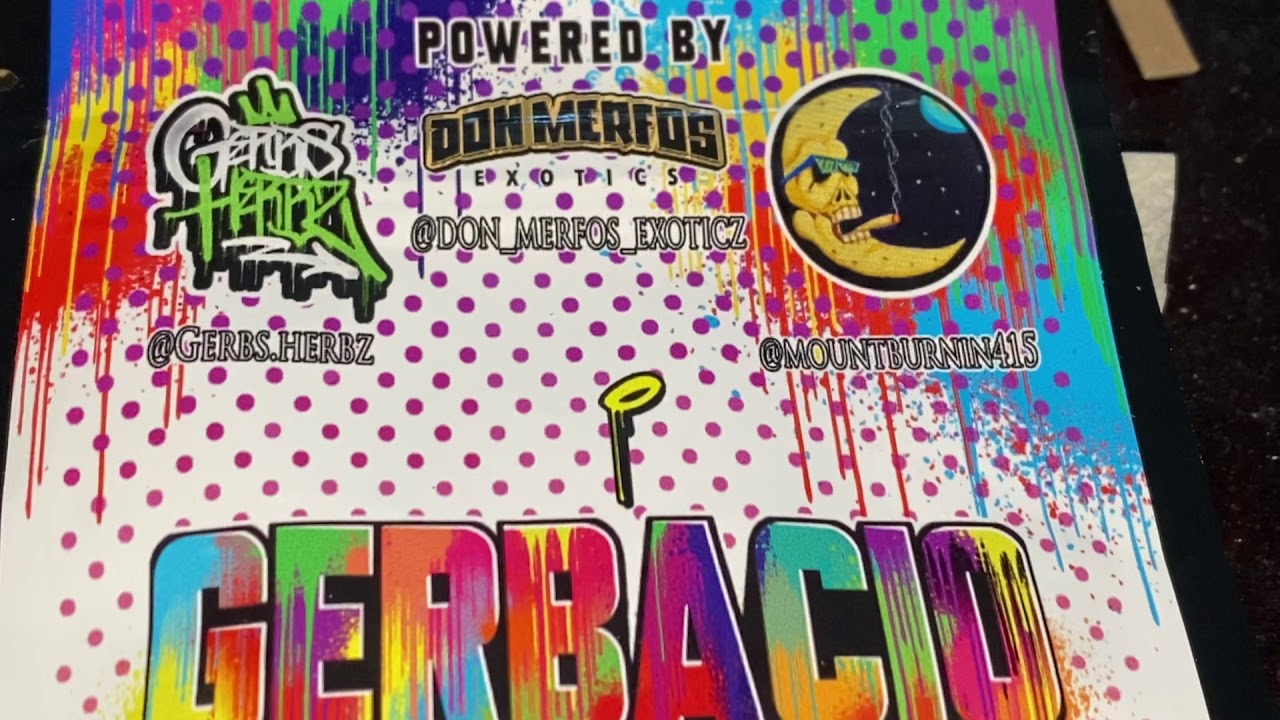 Gerbacio by Don Merfos