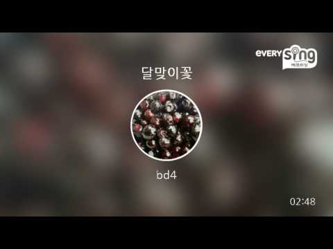 [everysing] 달맞이꽃