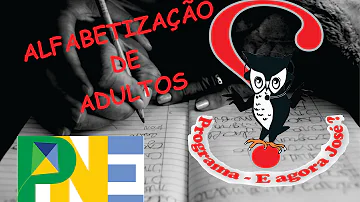 O que significa a meta 9 do PNE?