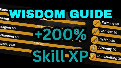 FULL GUIDE On Skill Wisdom - How To Take Advantage Of Derpy