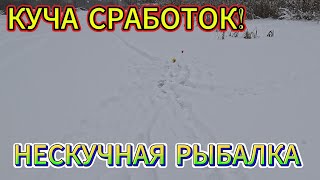 НЕСКУЧНАЯ РЫБАЛКА! ЛОВЛЯ НА ЖЕРЛИЦЫ