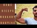 घर पर Biceps कैसे बनाए। Home Biceps Exercise