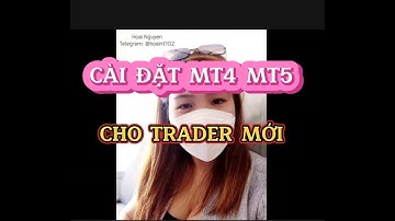 Hướng dẫn cài đặt các chỉ báo trong MT4 MT5 cho Trader mới