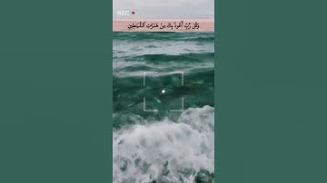 وَقُل رَّبِّ أَعُوذُ بِكَ مِنْ هَمَزَاتِ الشَّيَاطِينِ سورة المؤمنون القاريء الشريم 🤍🖤.