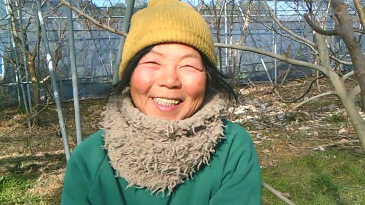 毎日剪定してます😊😊😊自然農法果樹園アイアイファーム　自然農法家ともちゃん　202５/２ / 2５/茨城県常陸大宮市野上