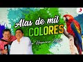Alas De Mil Colores, Los Hermanos Zuleta - Letra Oficial