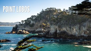 Point Lobos State Natural Reserve: Exploring 4 of the Park's Best Trails