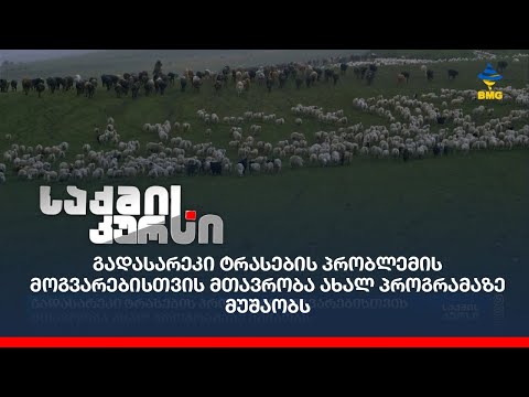 გადასარეკი ტრასების პრობლემის მოგვარებისთვის მთავრობა ახალ პროგრამაზე მუშაობს