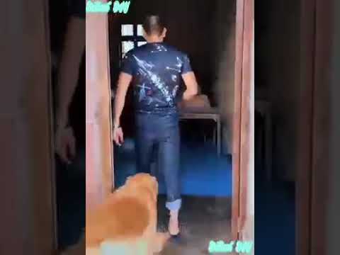 مسخوط الوالدين