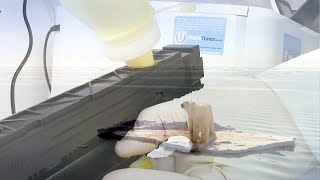 How to refill HP M255, M255dw, M255nw, MFP M282nw, MFP M283fdn, MFP M283fdw