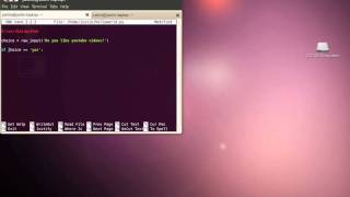 Python Tutorial 2 - Inputs, Variables, and If's. Oh my!
