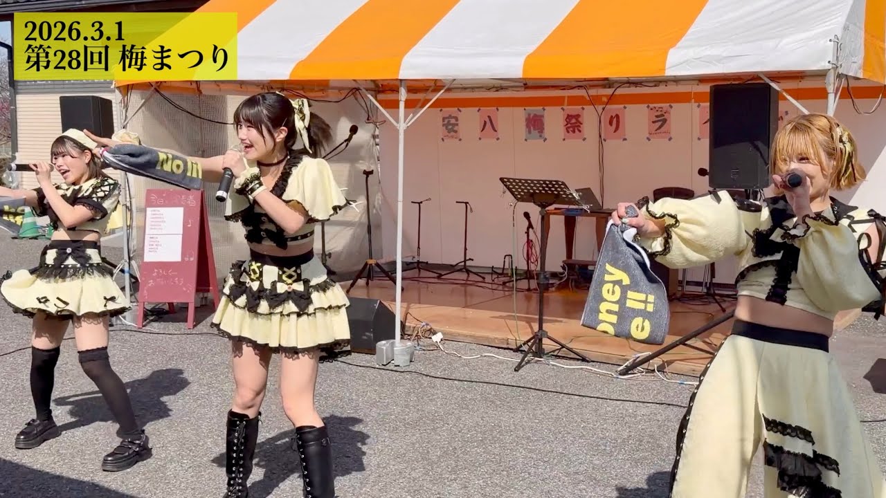 蜂蜜★皇帝｜2026.3.1 安八梅祭りライブ
