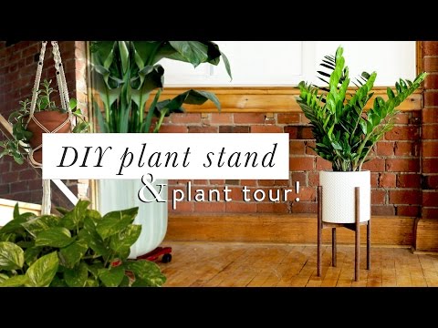 Video: Stylish DIY flower shelves