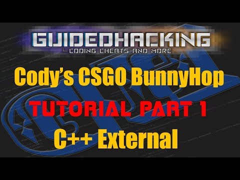 Cody's C++ CSGO
