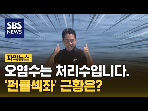 오염수는 방사능 처리수입니다 후쿠시마에 간 고이즈미 신지로 자막뉴스 SBS 