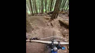 The flow on this trail was a welcome change