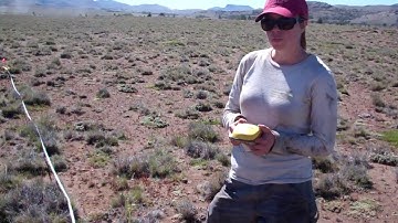 Field Transect Method Coyhaique, Chile_1.MP4