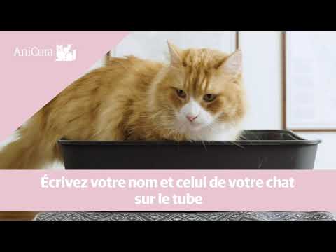 Vidéo: Comment Prélever Un échantillon D'urine Sur Un Chat