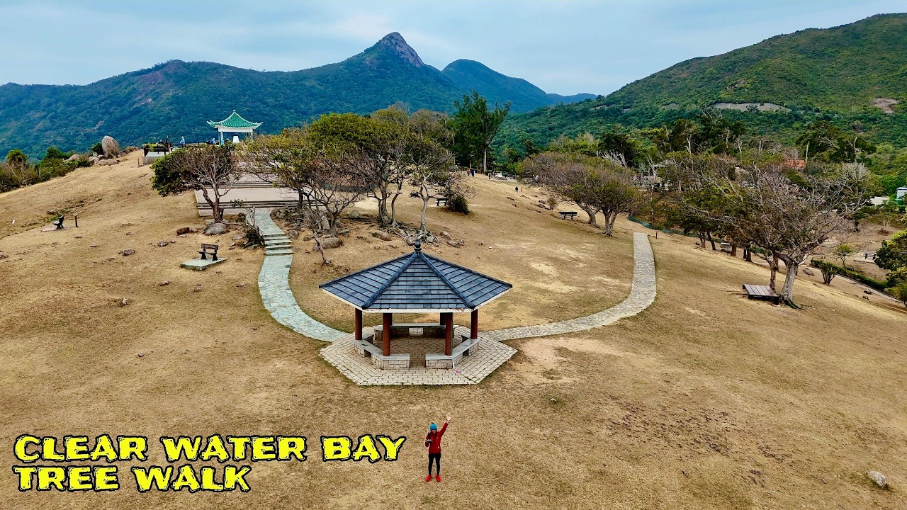 CLEAR WATER BAY TREE WALK-💕💕💕☘️☘️☘️
