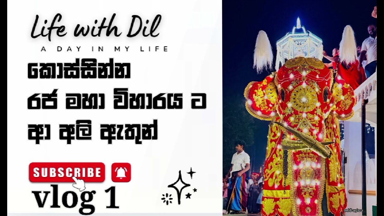 කොස්සින්න රජ මහා විහාරය ට ආ අලි ඇතුන් 🐘🐘😱😱