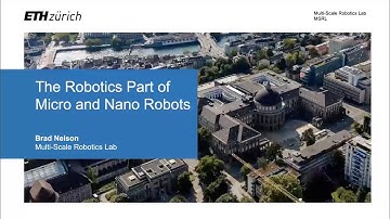 The Robotics Part of Micro and Nano Robots - Brad Nelson