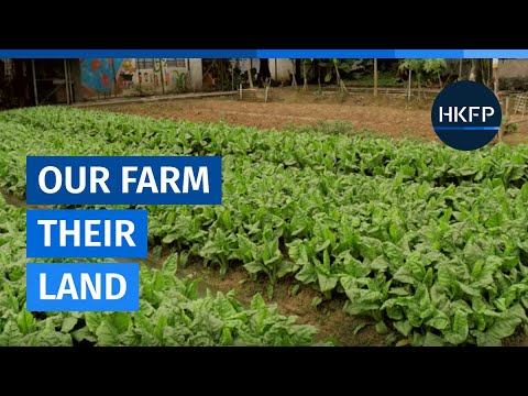 HKFP_Doc: Our Farm, Their Land: The Fight for Hong Kong's Mapopo Community Farm