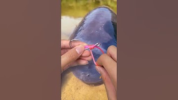 Cách buộc lưỡi câu cá chép, trắm, nheo🐠🎣 #fishinghook #fishing #shorts