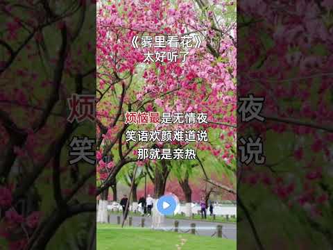 雾里看花 经典老歌 太好听了 好歌推荐 一首好听的歌分享给大家