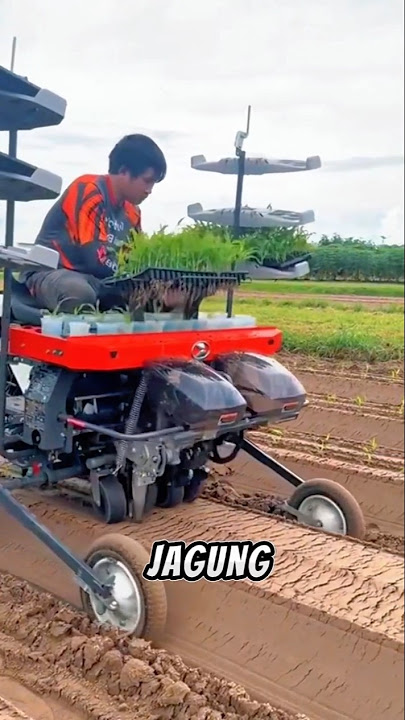 menanam jagung dengan mesin modern #satisfying #pertanian