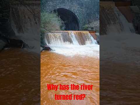 SHOCK!!! River turns RED. #river #travel #adventure