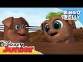 Bingo y Rolly: Momentos Mágicos - Diversión en la granja | Disney Junior Oficial