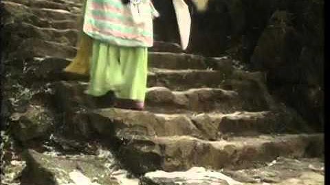 Thumbnail of 帝女花之雪中燕