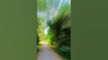 insta360 go 2 Hyperlapse near fields and tiny river