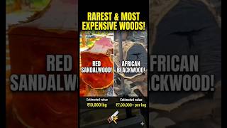 दुनिया की सबसे महंगी लकड़ी! 🪵 Red Sandalwood vs African Blackwood | #shorts #facts