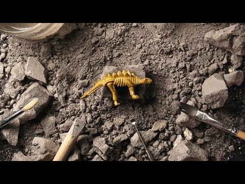 ASMR Dinosaur Fossil Excavation 공룡 화석 발굴하기 ⛏ 소리가 잡음 없이 진짜 선명하게 들린다...