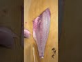 My knife 俺の包丁 #JapaneseChef#asmr #sushichef #KnifeSkills#FoodArt https://aoki-hamono.co.jp