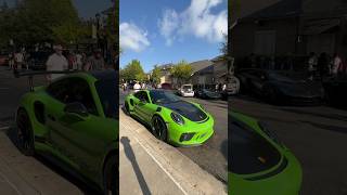Would You Trade Your Pet Green Lizard For A Porsche GT3RS?