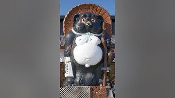 Yokai in Anime: The Tanuki