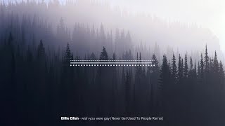 Billie Eilish - Wish You Were Gay (Never Get Used To People Remix)