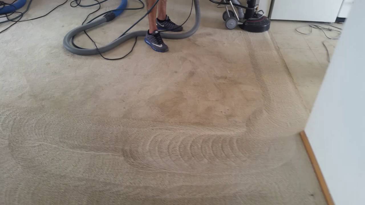 Rotovac 360i brush head/ carpet cleaning cocktail/cleaning service pro